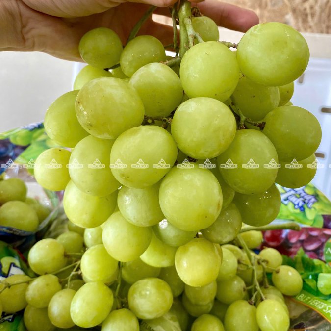 Nho xanh Autumn Crisp IPG Gold Mỹ