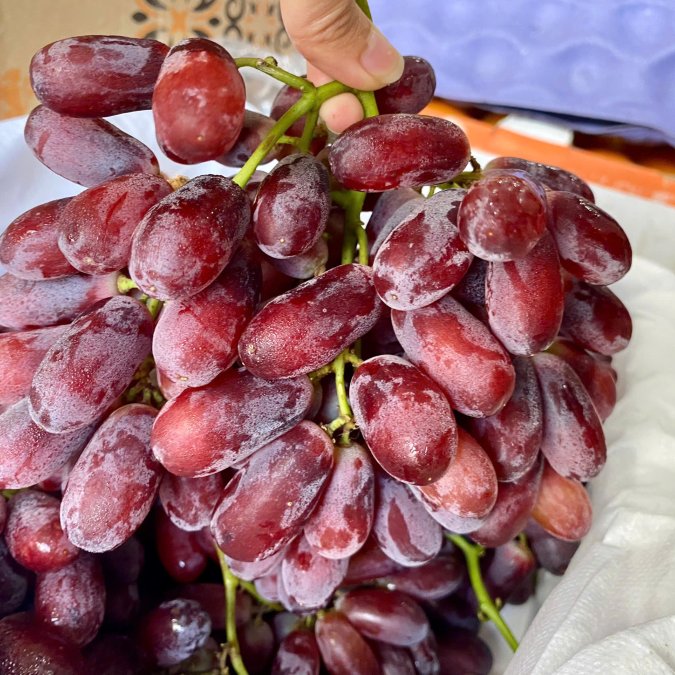 Nho đỏ long Crimson
