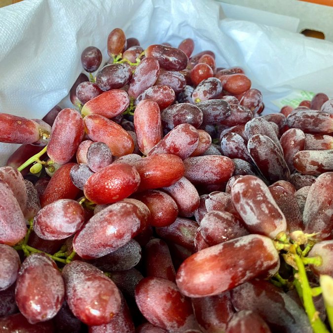 Nho đỏ long Crimson